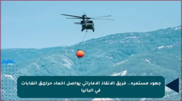 جهود مستمرة.. فريق الإنقاذ الإماراتي يواصل إخماد حرائق الغابات في ألبانيا